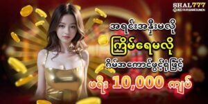 Read more about the article shal777 ပရိုမိုးရှင်းယူ နှင့် စည်းကမ်းချက်များ